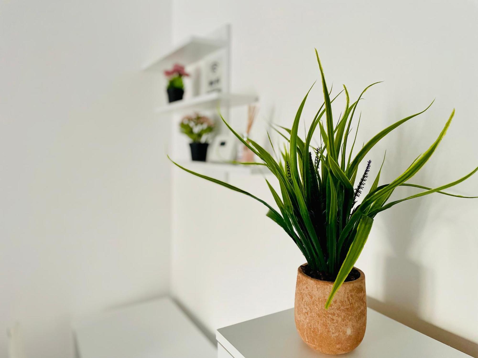 Apartmán Montsee Brašov Exteriér fotografie